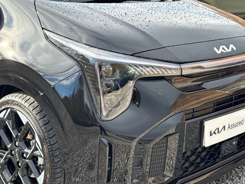 Used Kia Picanto 2025 for sale - 77504473: Photo 35