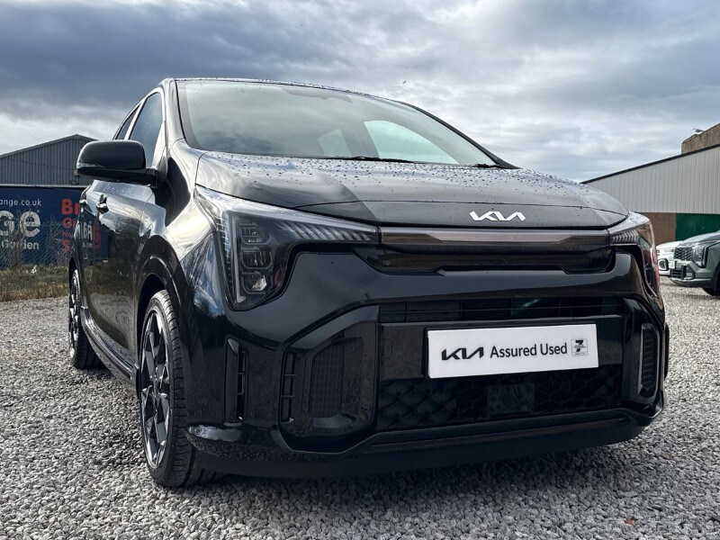 Used Kia Picanto 2025 for sale - 77504473: Photo 37