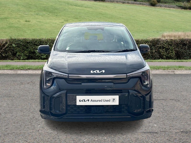 Used Kia Picanto 2025 for sale - 77504473: Photo 7