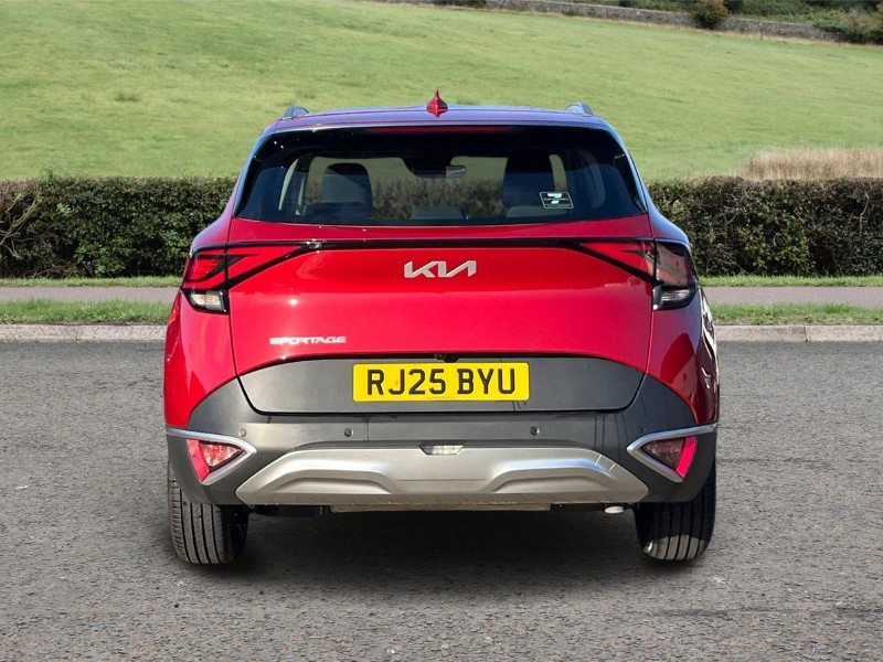 Used Kia Sportage 2025 for sale - 76982076: Photo 6