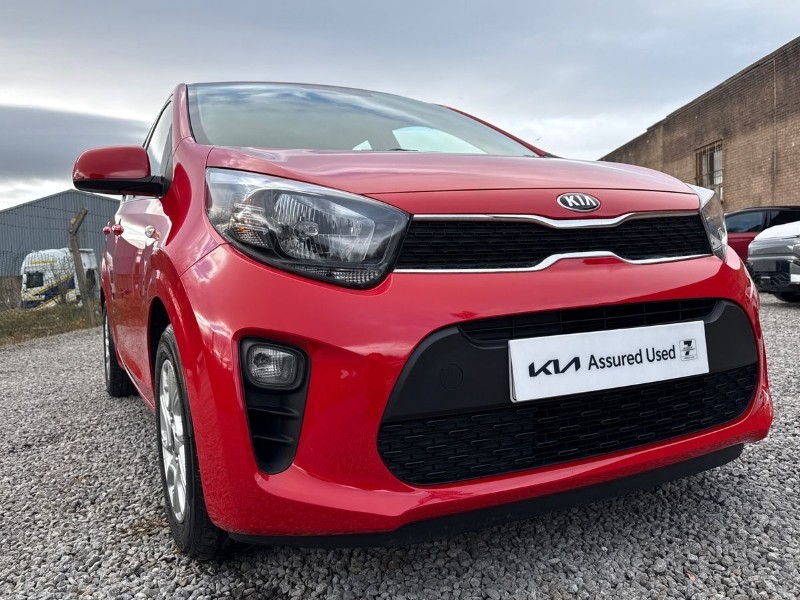 Used Kia Picanto 2019 for sale - 77381061: Photo 31