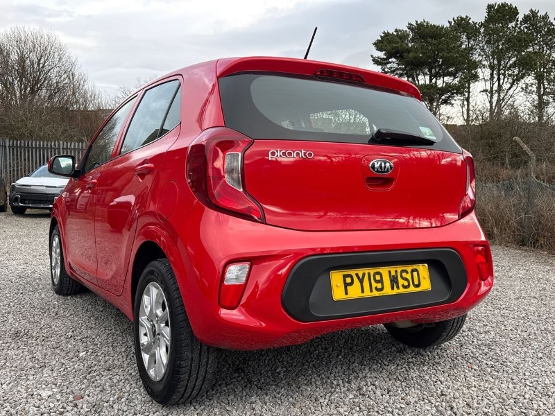 Used Kia Picanto 2019 for sale - 77381061: Photo 33