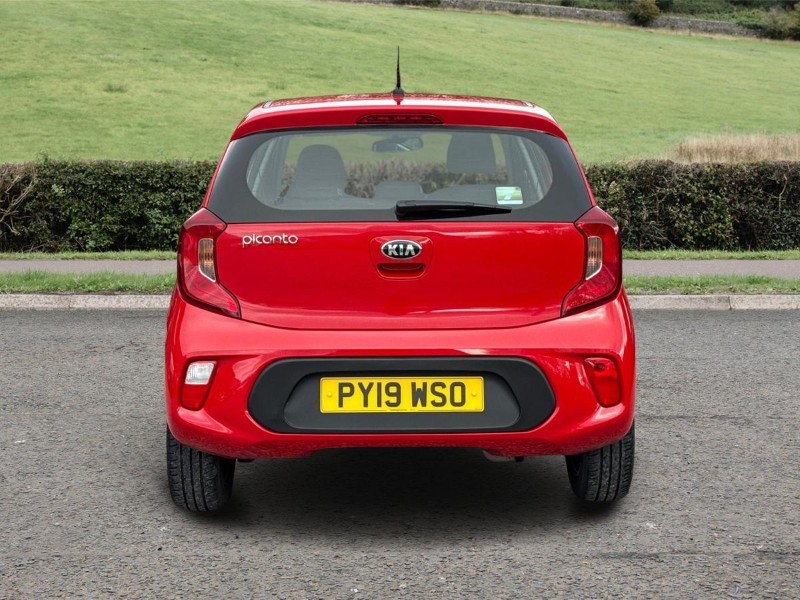 Used Kia Picanto 2019 for sale - 77381061: Photo 5