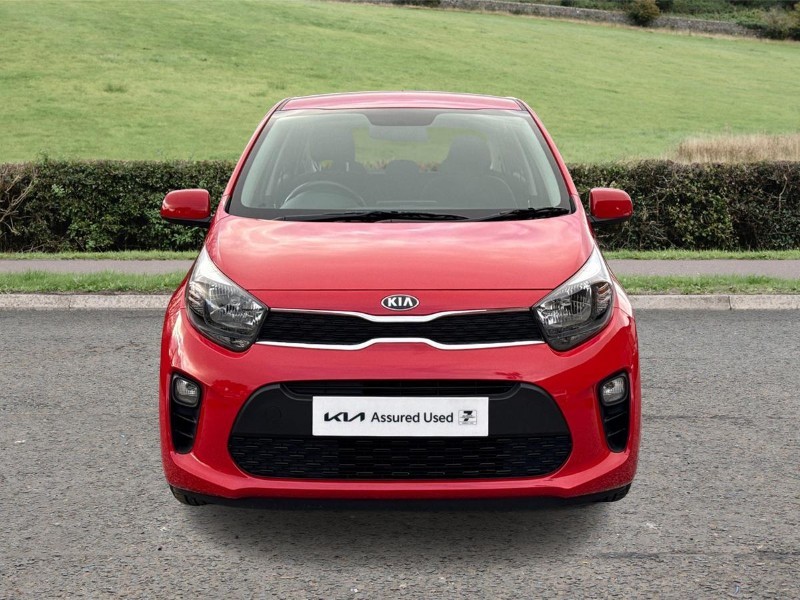 Used Kia Picanto 2019 for sale - 77381061: Photo 6