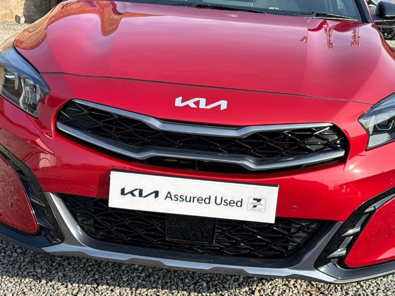 Used Kia XCeed 2024 for sale - 77950805: Photo 37