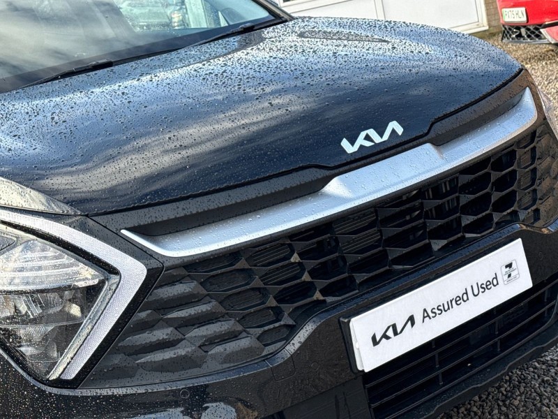 Used Kia Sportage 2025 for sale - 77492789: Photo 36