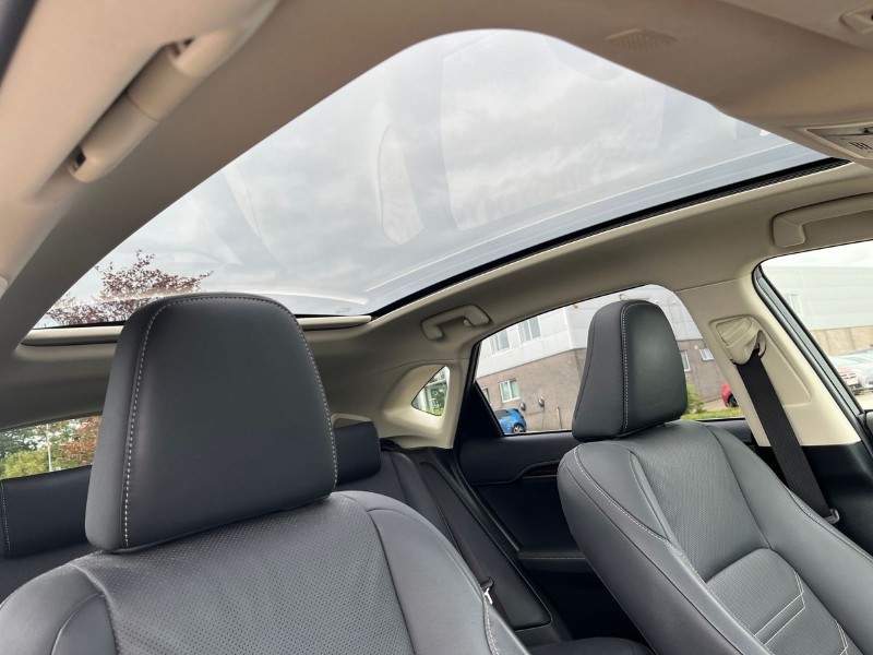 Used Lexus NX 2019 for sale - 76981320: Photo 10