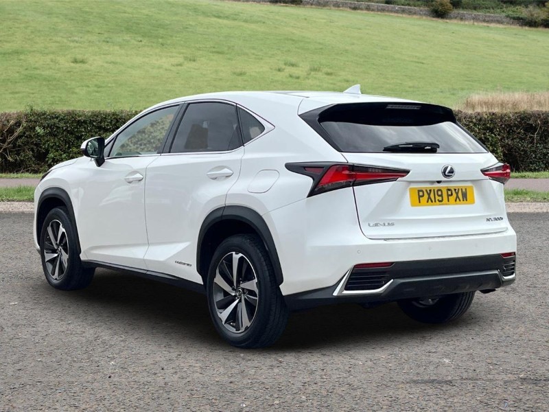 Used Lexus NX 2019 for sale - 76981320: Photo 2