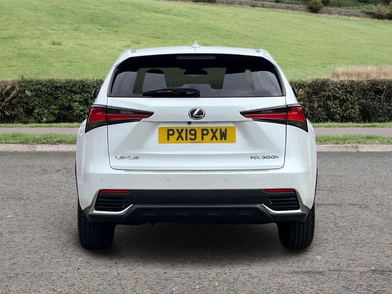 Used Lexus NX 2019 for sale - 76981320: Photo 6