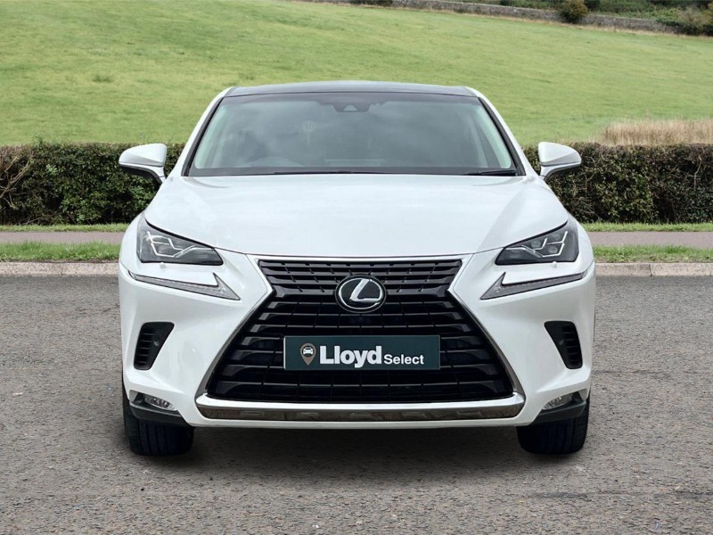 Used Lexus NX 2019 for sale - 76981320: Photo 7