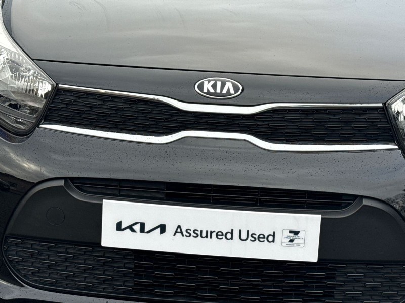 Used Kia Picanto 2017 for sale - 76982247: Photo 32