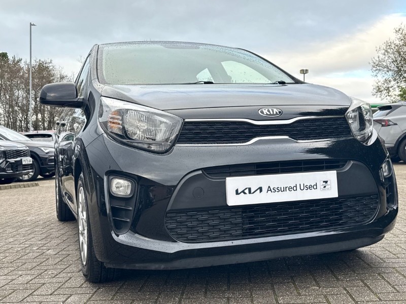 Used Kia Picanto 2017 for sale - 76982247: Photo 33