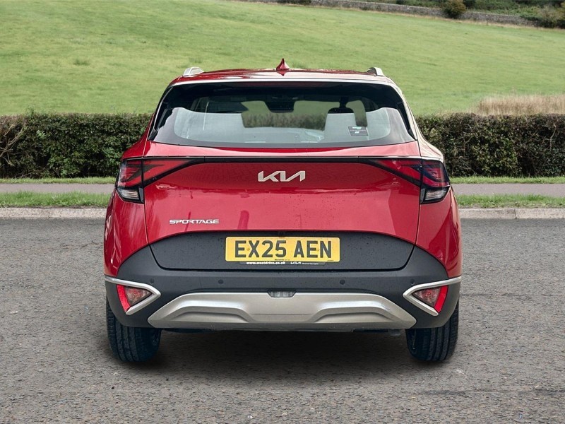 Used Kia Sportage 2025 for sale - 77988560: Photo 6