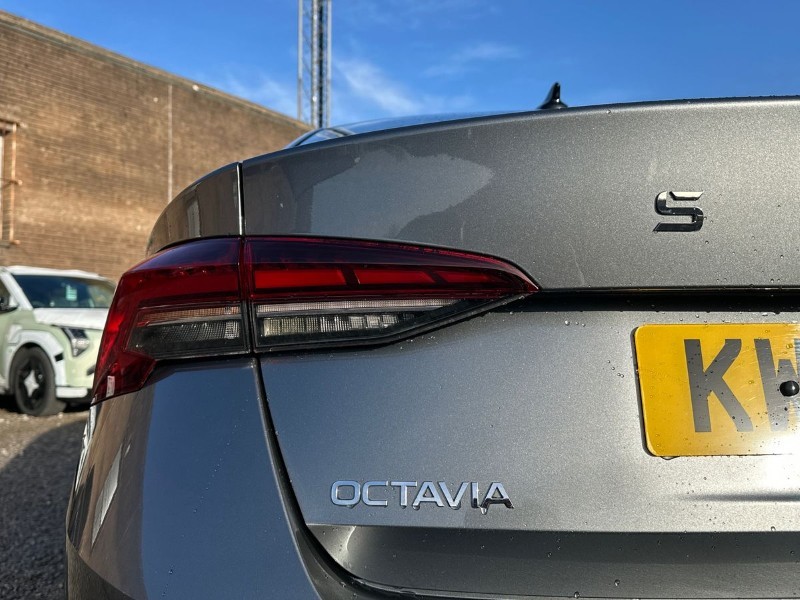 Used Skoda Octavia 2024 for sale - 77679004: Photo 39