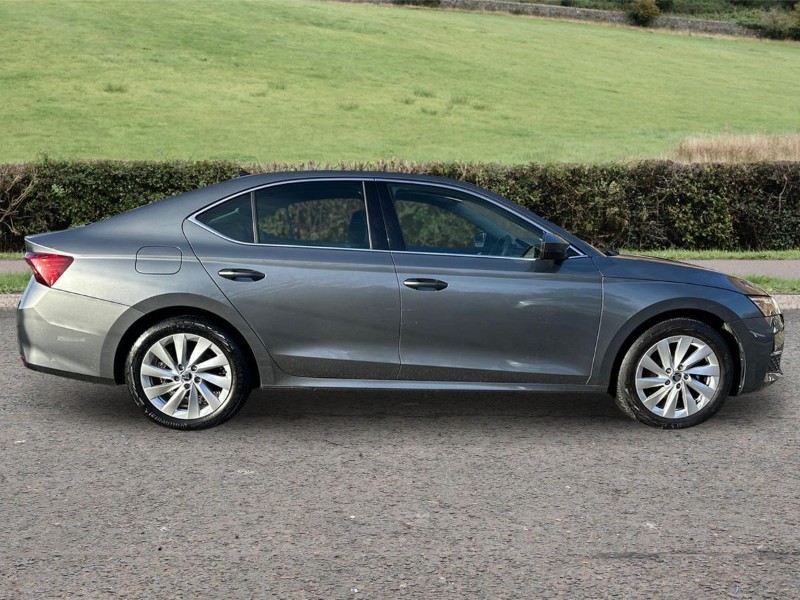 Used Skoda Octavia 2024 for sale - 77679004: Photo 5