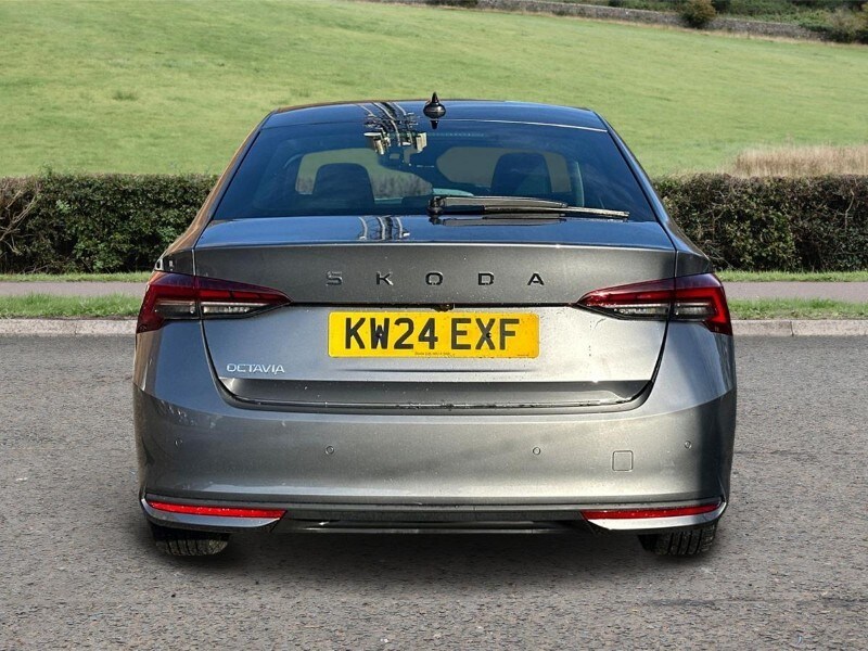 Used Skoda Octavia 2024 for sale - 77679004: Photo 6