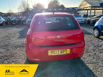 Used Fiat Punto 2017 for sale - 76798964: Photo