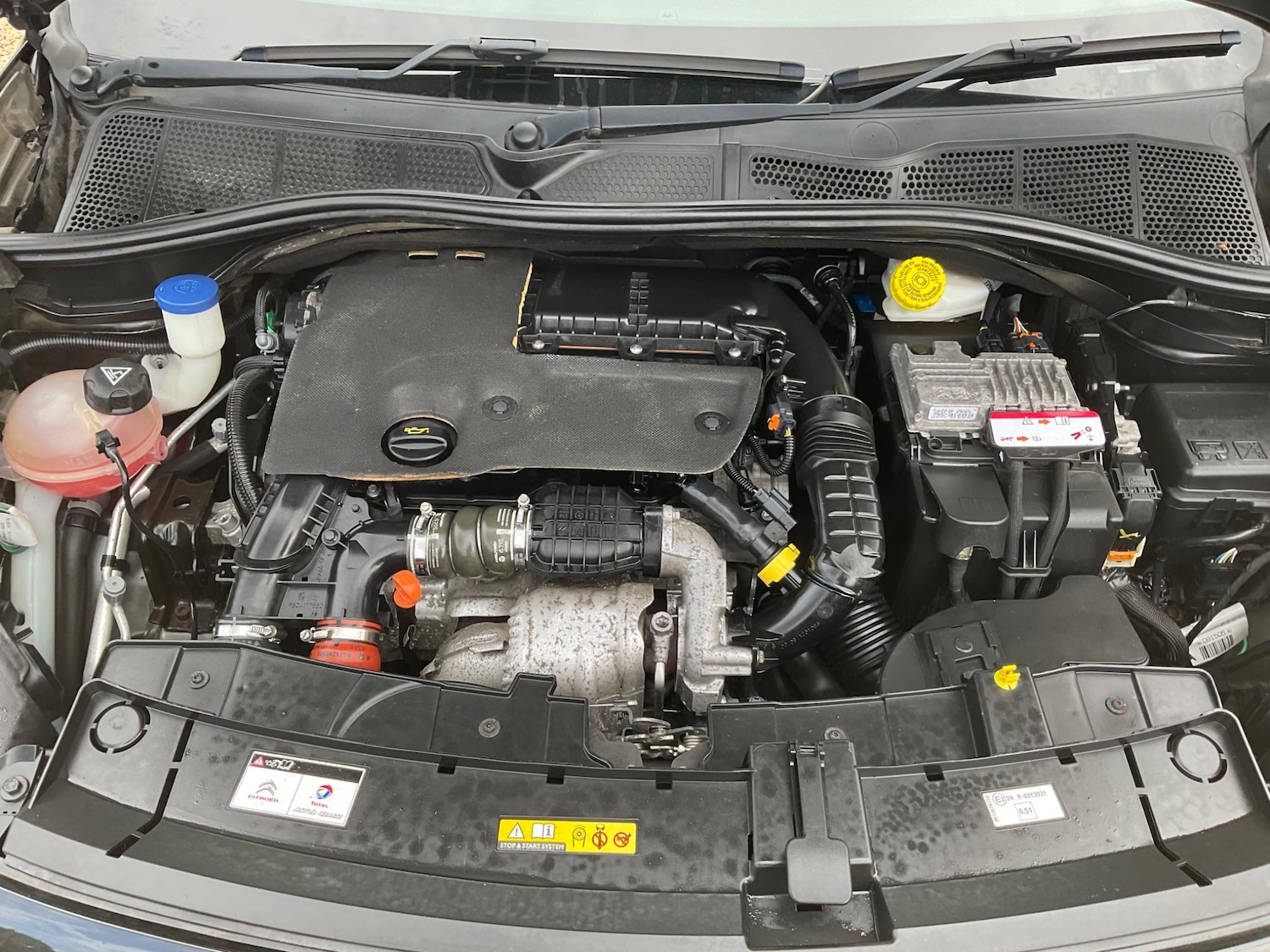 Used Citroen C4 Cactus 2015 for sale - 76887481: Photo 9