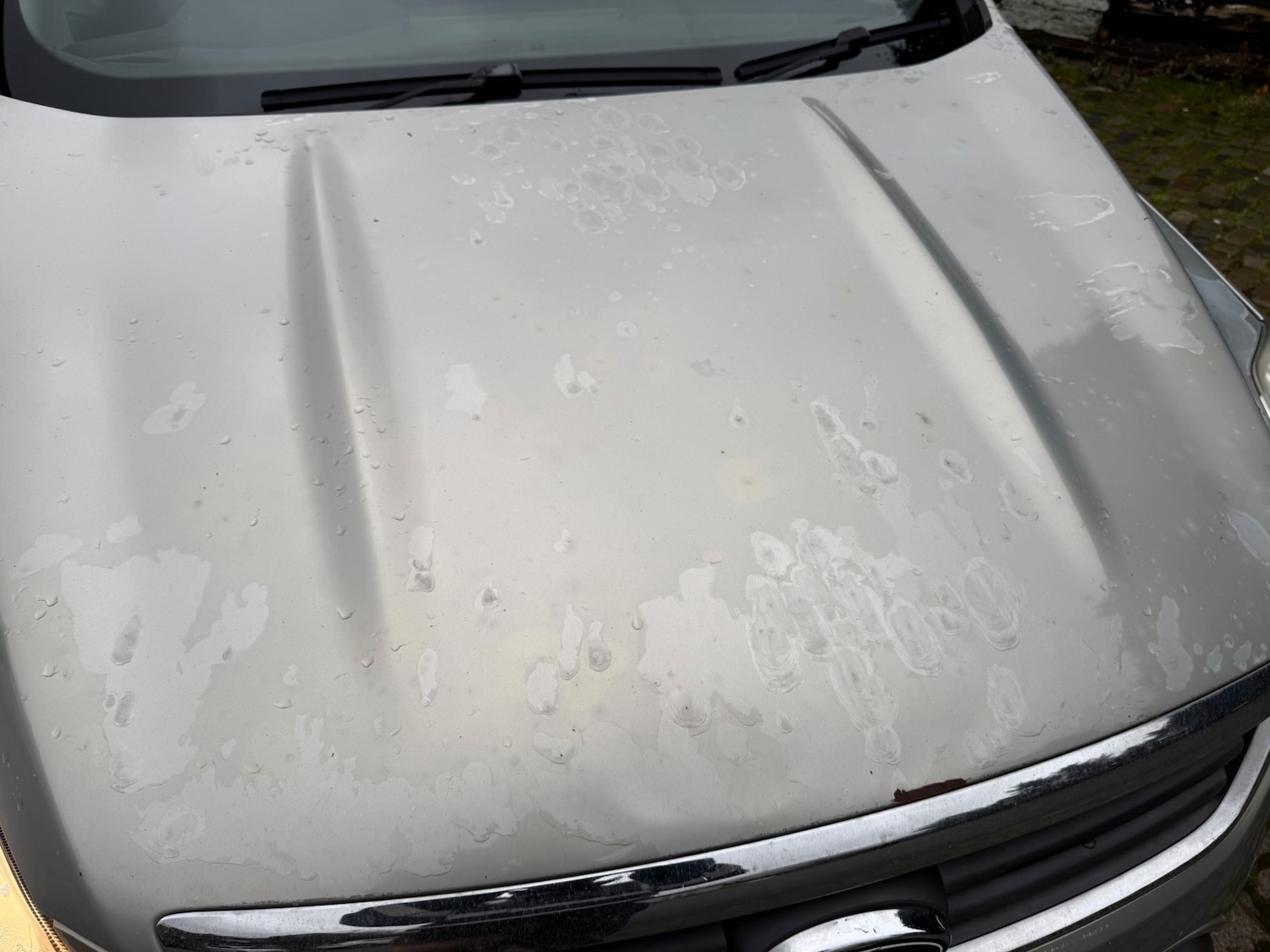 Used Ford Kuga 2008 for sale - 76770269: Photo 15