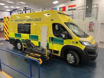 Used Fiat Ducato 2020 for sale - 78353265: Photo