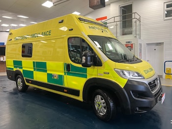 Used Fiat Ducato 2020 for sale - 78092820: Photo