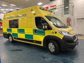 Used Fiat Ducato 2020 for sale - 77001025: Photo