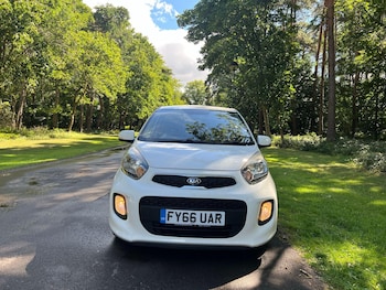 Used Kia Picanto 2016 for sale - 79092923: Photo