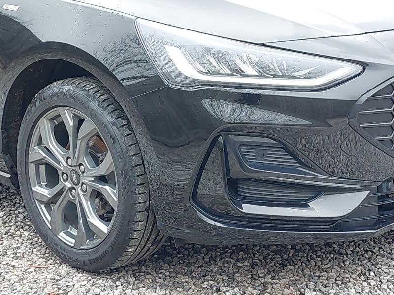 Used Ford Focus 2023 for sale - 77689647: Photo 9