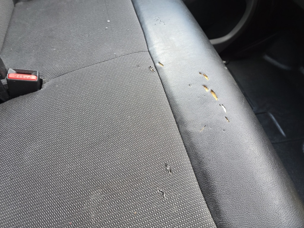 Used Vauxhall Vivaro 2021 for sale - 76748009: Photo 23