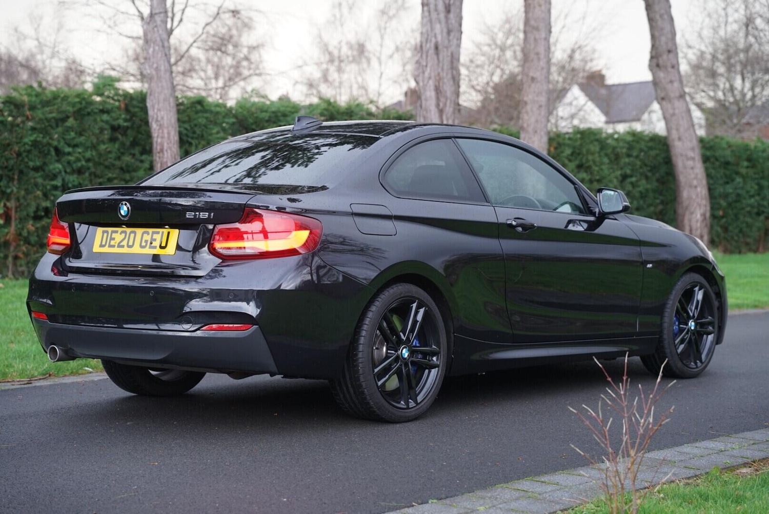 Used BMW 2 Series 2020 for sale - 77483320: Photo 13