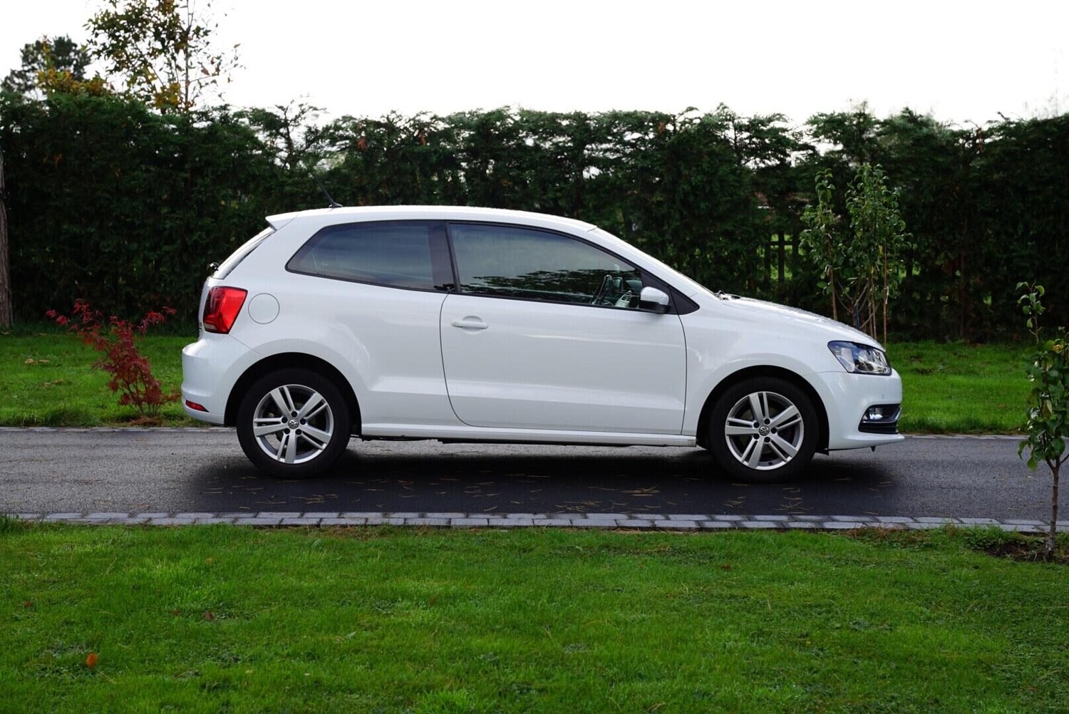 Used Volkswagen Polo 2016 for sale - 76783096: Photo 11