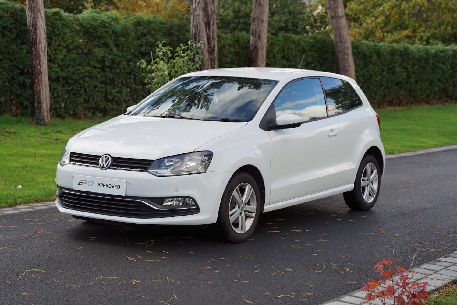 Used Volkswagen Polo 2016 for sale - 76783096: Photo 3