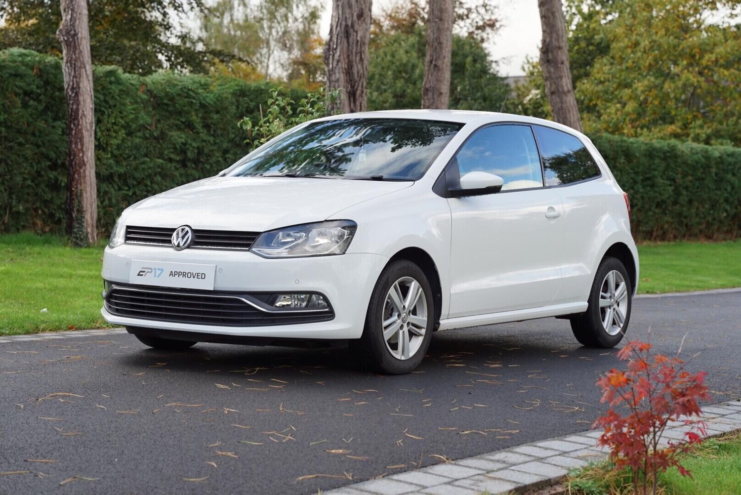 Used Volkswagen Polo 2016 for sale - 76783096: Photo 6