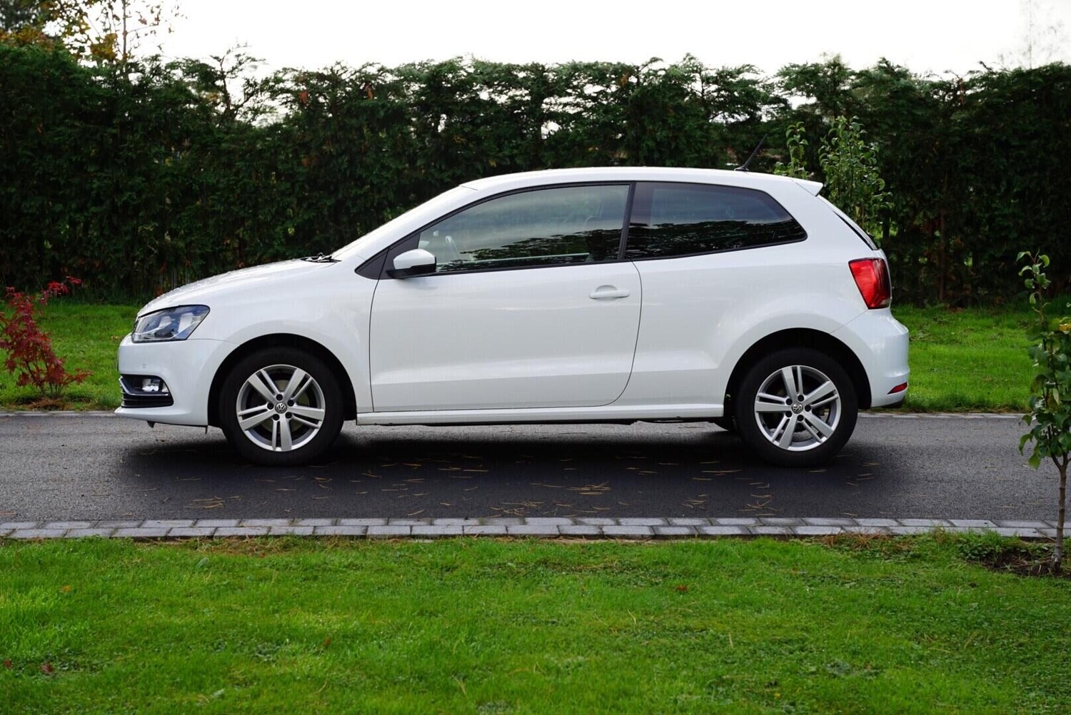 Used Volkswagen Polo 2016 for sale - 76783096: Photo 9