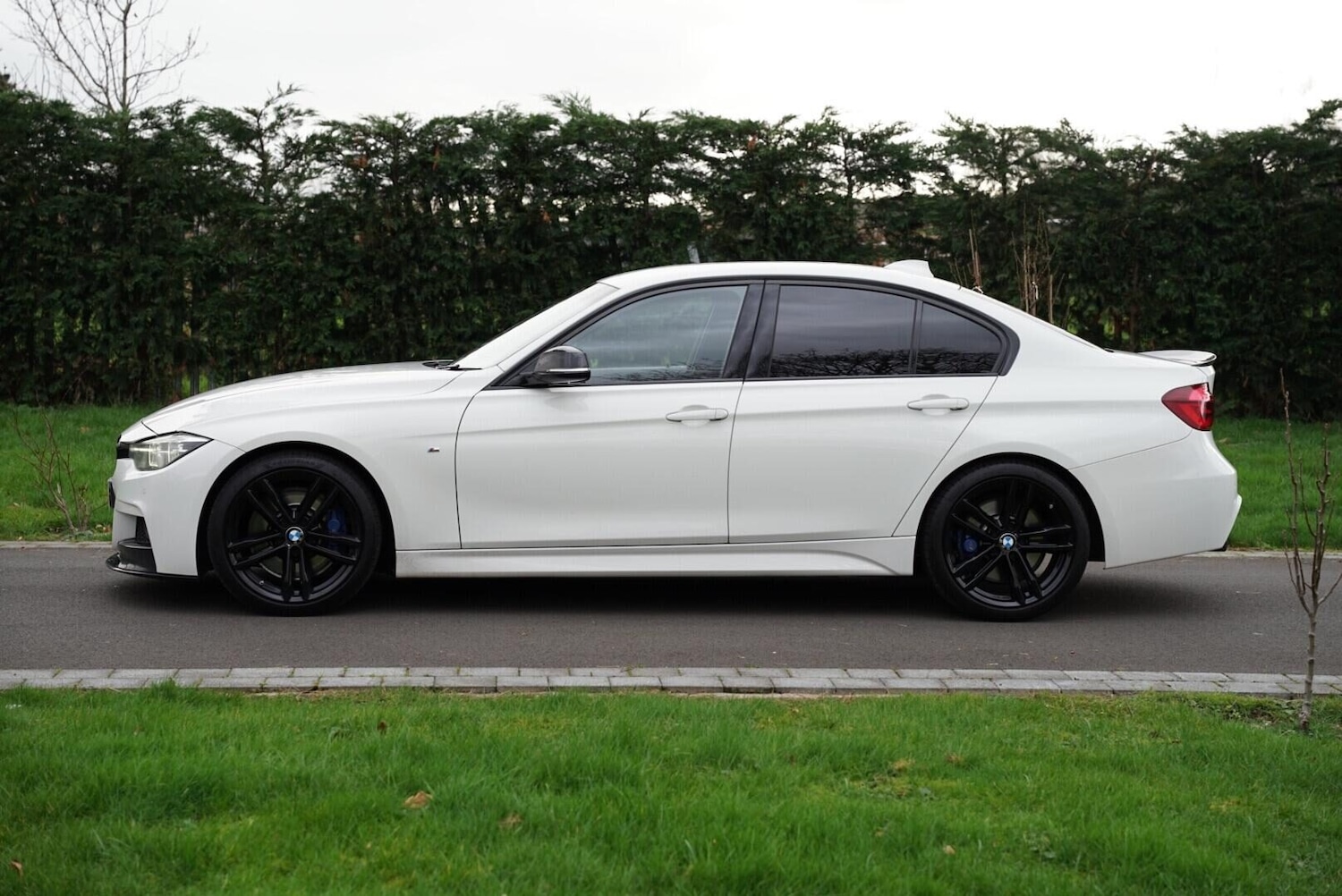Used BMW 3 Series 2017 for sale - 77708690: Photo 10