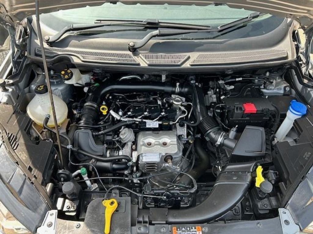 Used Ford Ecosport 2022 for sale - 76581196: Photo 19