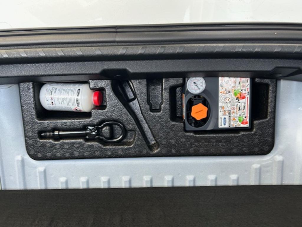 Used Ford Ecosport 2018 for sale - 76963801: Photo 21