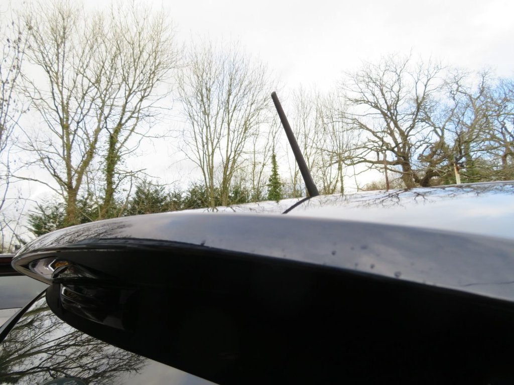 Used Fiat Tipo 2022 for sale - 77394241: Photo 15