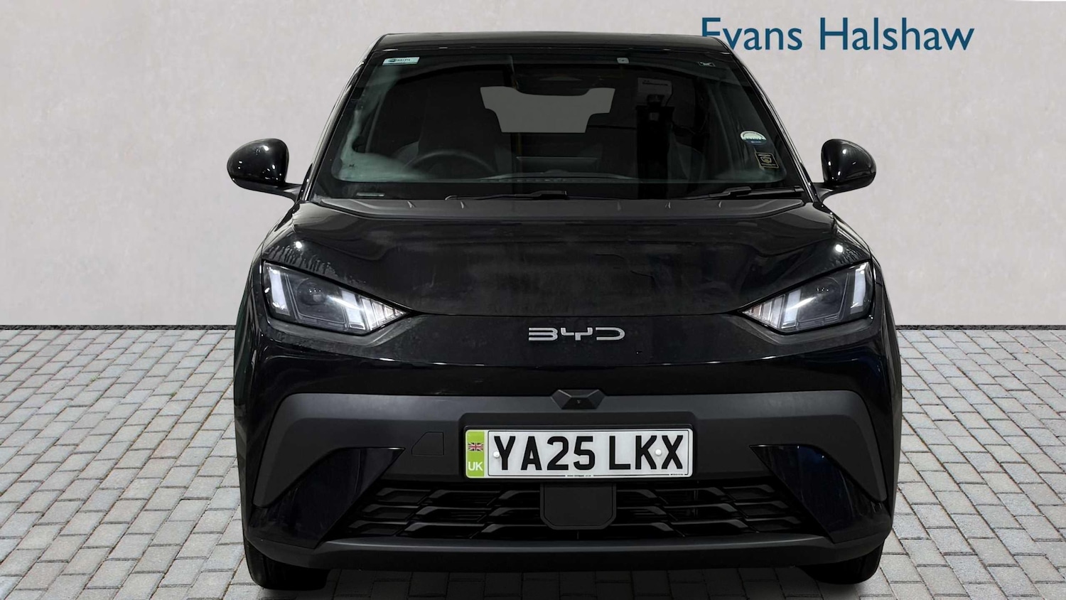 Used BYD Dolphin for sale - 77856998: Photo 5