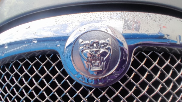 Used Jaguar S-Type 2006 for sale - 75517510: Photo 12