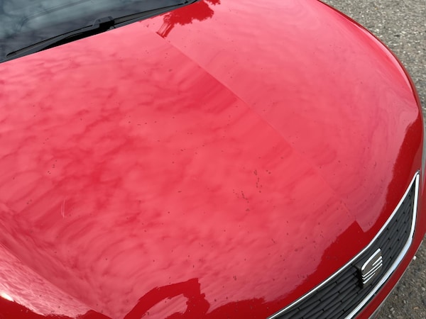 Used SEAT Ibiza 2013 for sale - 76157322: Photo 50