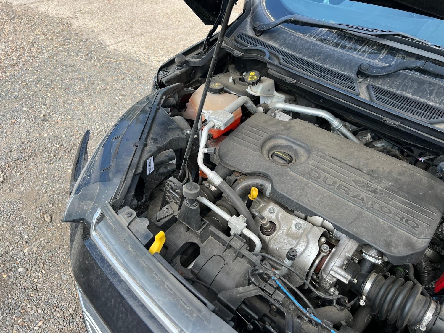 Used Ford Ecosport 2017 for sale - 76643004: Photo 8