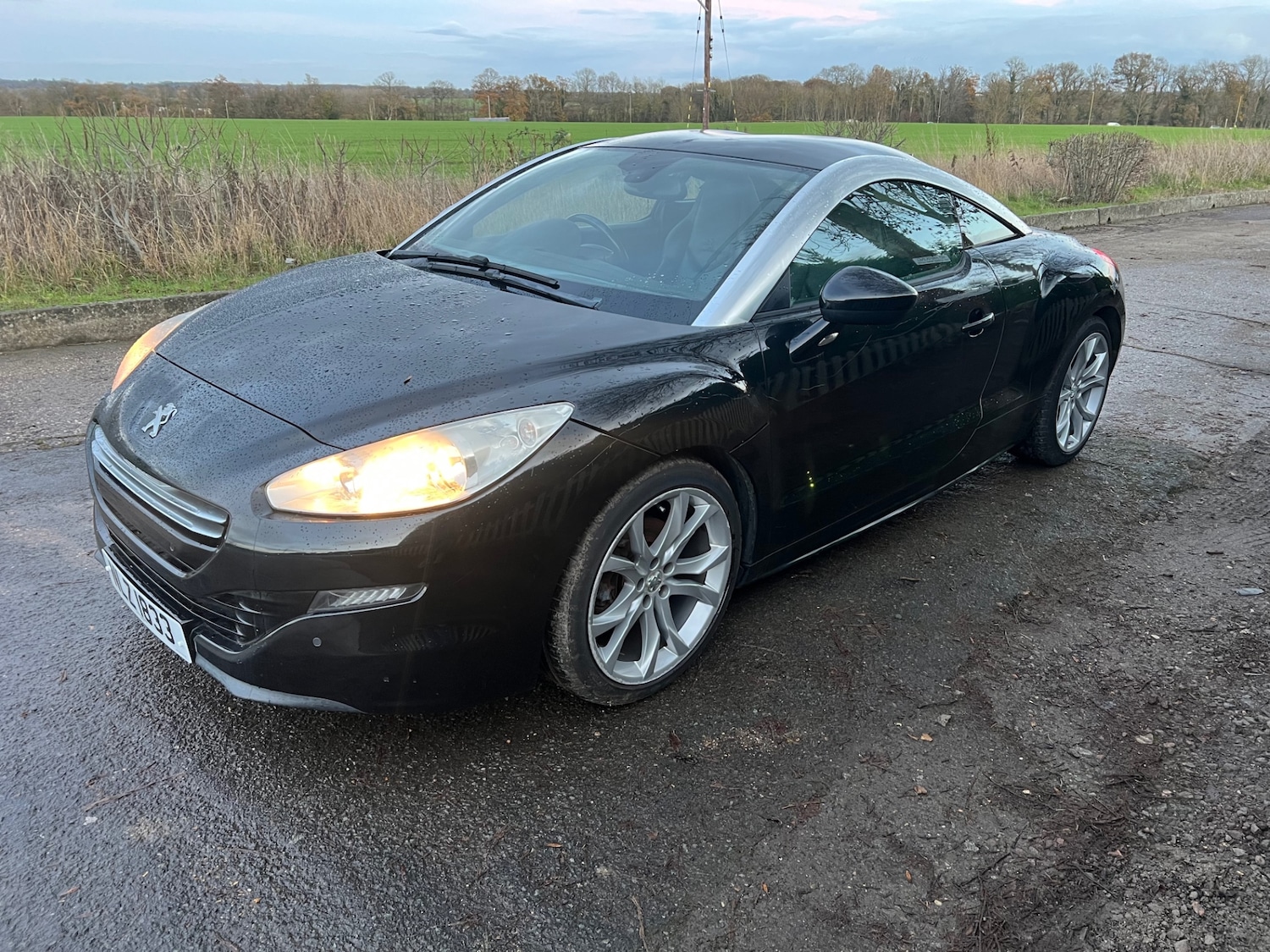 Used Peugeot RCZ 2013 for sale - 76666057: Photo 8