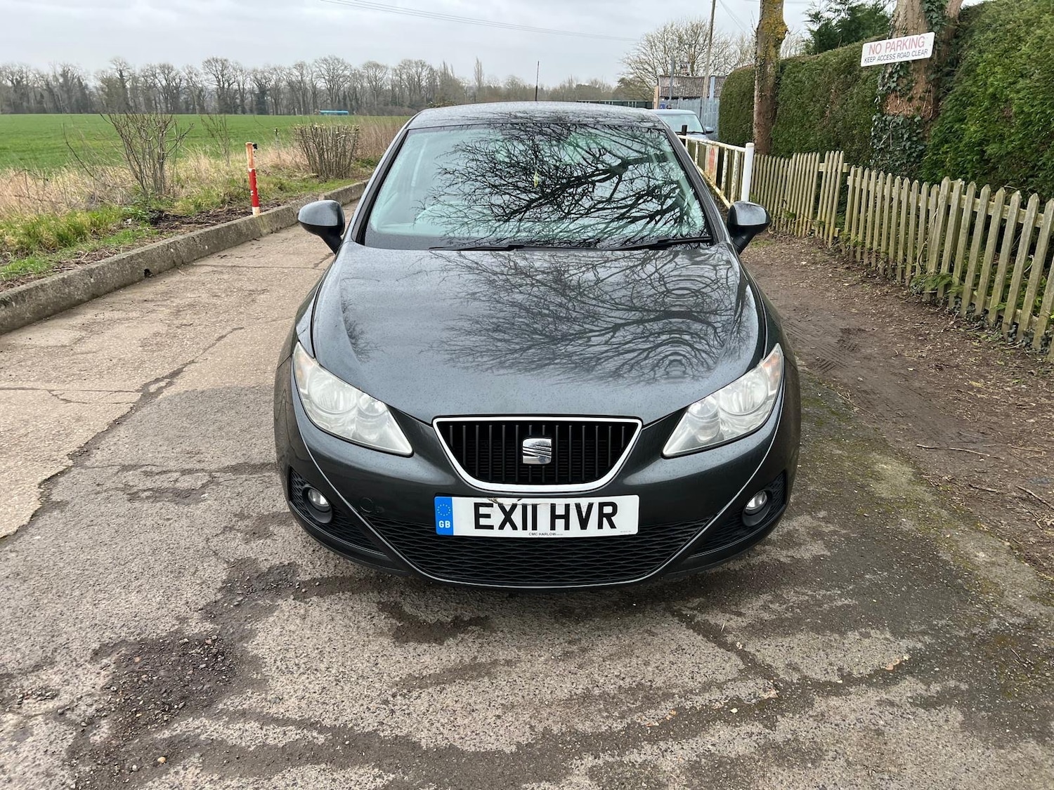 Used SEAT Ibiza 2011 for sale - 77022720: Photo 2