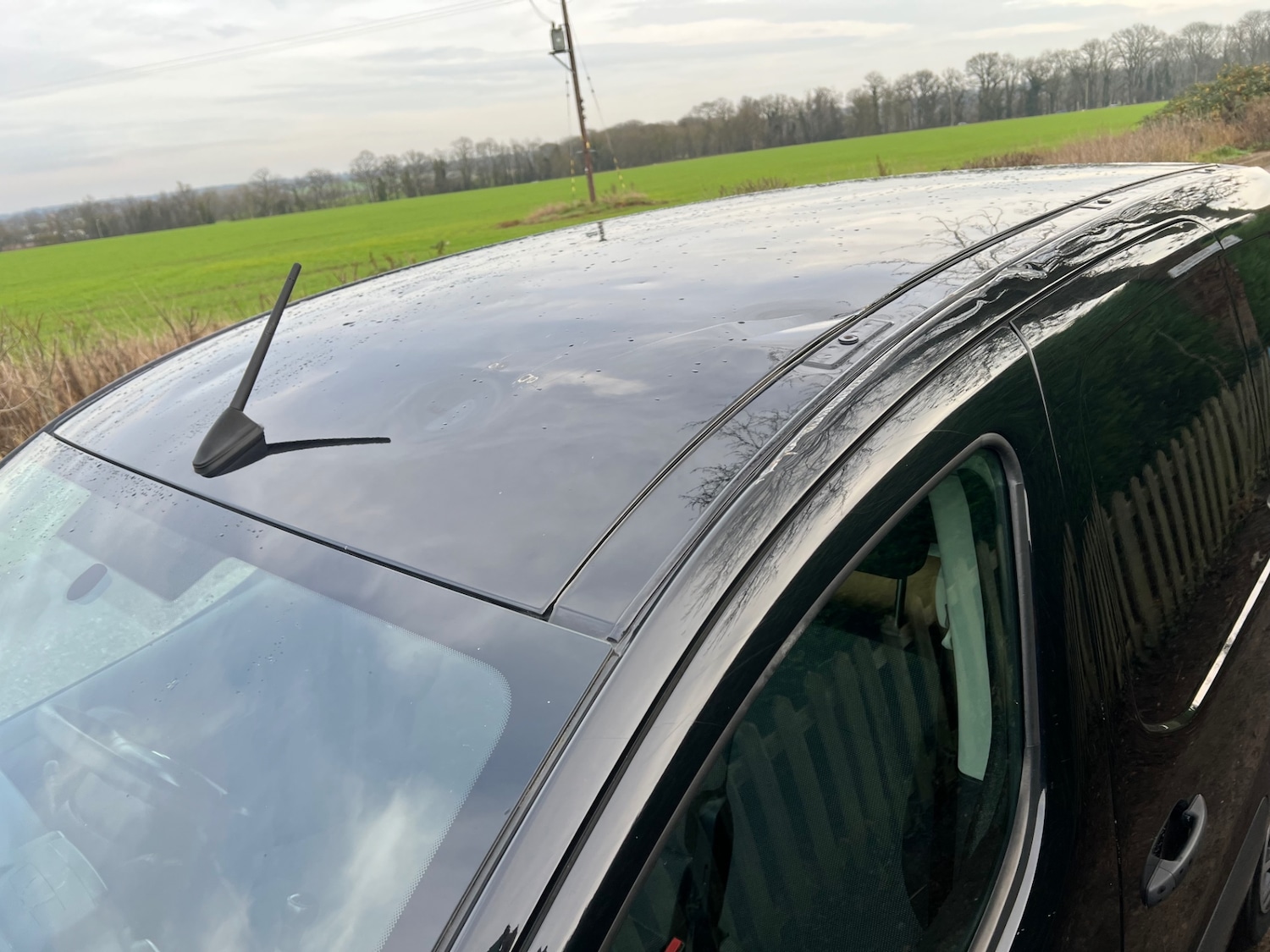 Used Citroen Berlingo 2017 for sale - 76968202: Photo 5