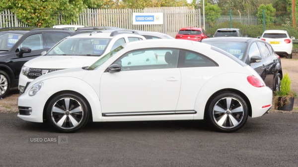 Used Volkswagen Beetle 2016 for sale - 76201976: Photo 6