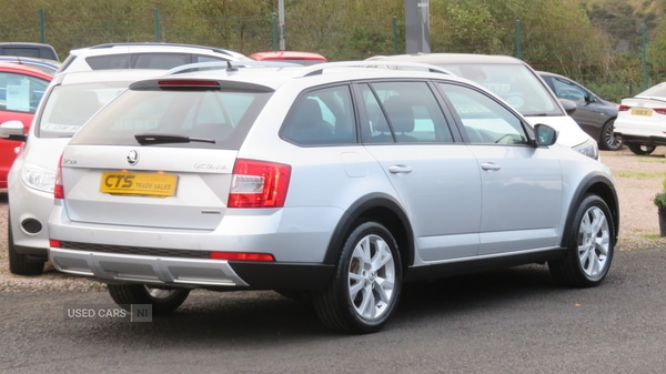 Used Skoda Octavia 2017 for sale - 76378381: Photo 3