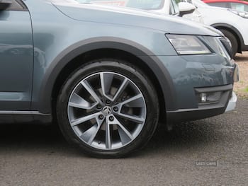 Used Skoda Octavia 2019 for sale - 79875388: Photo