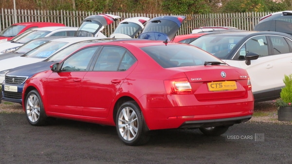 Used Skoda Octavia 2019 for sale - 76474063: Photo 15