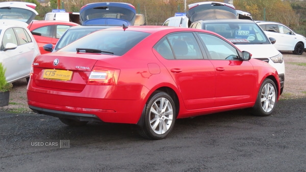 Used Skoda Octavia 2019 for sale - 76474063: Photo 6